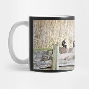 Canada Geese Pair No.5 Mug